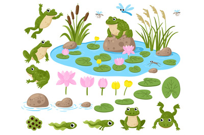 Cartoon frogs. Cute amphibian mascots, frogspawn, tadpoles, green frog