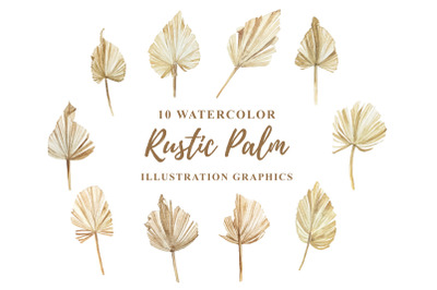 10 Watercolor Rustic Palm Illustration Graphics