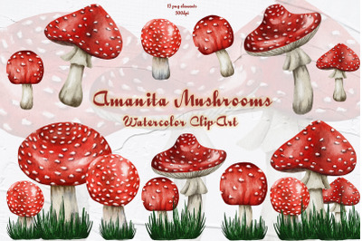 Amanita Mushrooms Watercolor Clipart