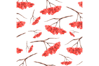 Rowan watercolor seamless pattern. Rowan berries pattern. Fall.