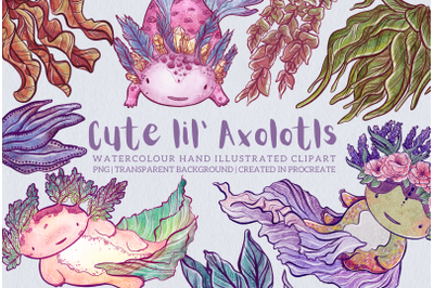 Cute Lil&#039; Axolotls Clipart Set