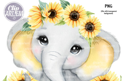 Sunflower Elephant Baby with Rustic Flowers PNG
