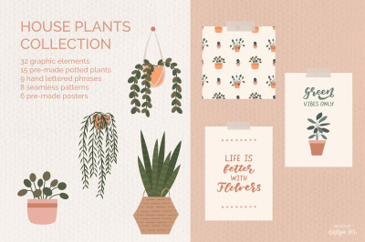 House plants graphic collection