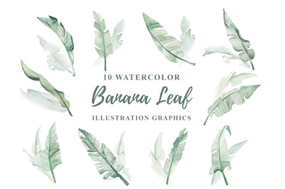 10 Watercolor Banana Leaf Illustration Graphics