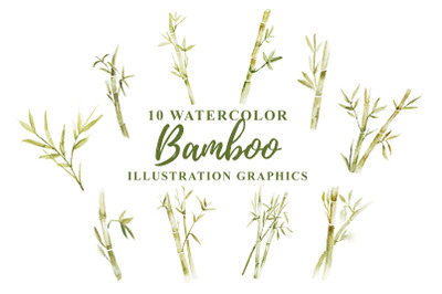 10 Watercolor Bamboo Illustration Graphics