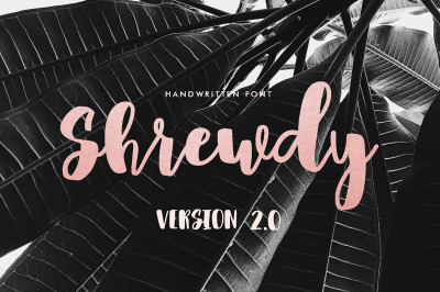 Shrewdy Script | Version 2.0