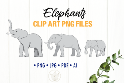 Elephant family clipart, Gray Elephants png files