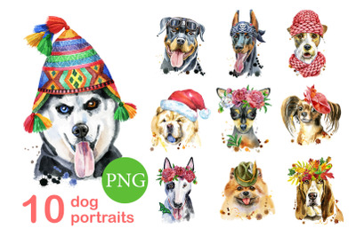 10 watercolor dog portraits 12