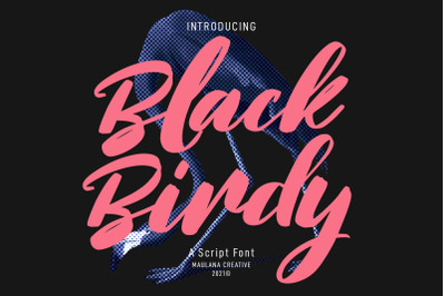 Blackbirdy Bold Script Font