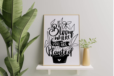 Bloom Where You Are Planted SVG Blooming Quotes