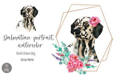 Dalmatian portrait, Watercolor dog and flower clipart