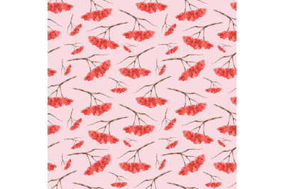 Rowan bunches watercolor seamless pattern. Rowan berries. Autumn