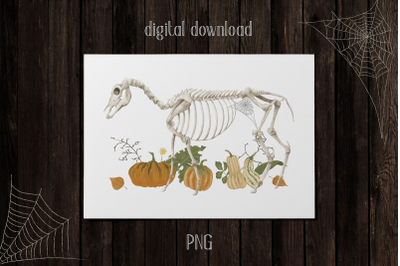 Halloween Horse Skeleton Poster PNG