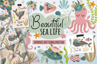 Beautiful sea life collection