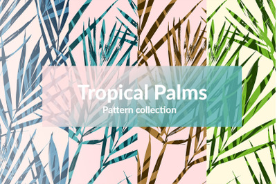 Tropical Palms