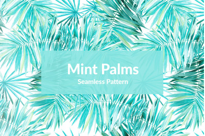 Mint Palms
