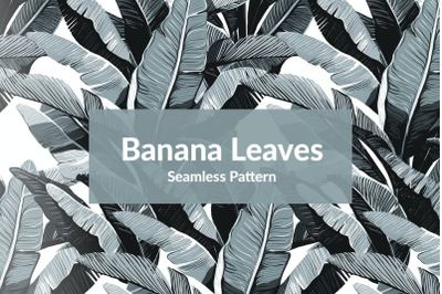 Banana Leaves