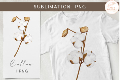 Watercolor Cotton Branch Clipart. Botanical Sublimation PNG