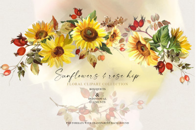 Sunflowers &amp; rosehip