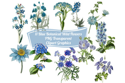 11 Blue Botanical Flowers Graphic Clipart Images