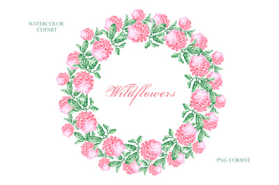 Clover watercolor wreath, frame. Wildflowers. Meadow flowers