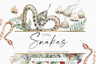 Watercolor cute snake decor, Forest animals snake clipart, Fairytale