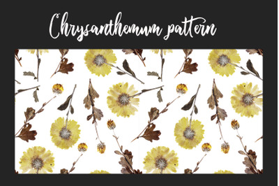 Autumn pattern png, jpeg. real flowers