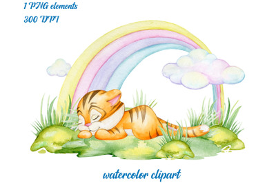 Tiger, rainbow, clouds, nature, cute tiger cub, baby, sleeping, Waterc