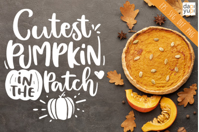 Cutest Pumpkin In The Patch SVG Pumpkin Quotes