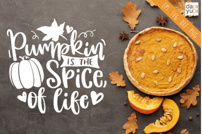 Pumpkin Is The Spice Of Life SVG Pumpkin Quotes