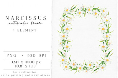Watercolor Narcissus Floral Frame. White flowers wreath PNG
