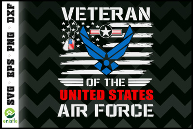 Veteran Of The U.S Air Force Vintage