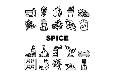 Spice Vegetable Food Collection Icons Set Vector