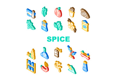 Spice Vegetable Food Collection Icons Set Vector