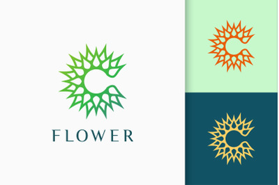 Flower Nature Logo in Letter C