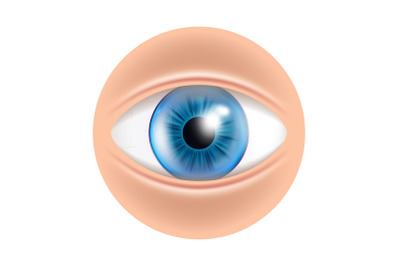 Eye Human Facial Organ With Contact Lenses Vector