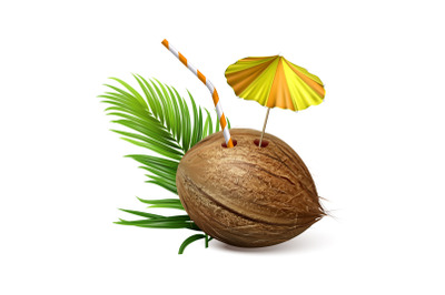 Coconut Tropical Natural Drink And Branch Vector