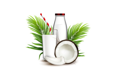 Coconut Milk Natural Drink And Palm Branch Vector