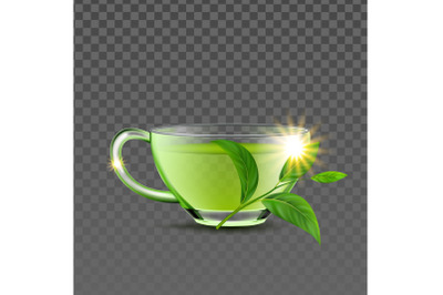 Green Tea Cup And Natural Branch Leaves Vector