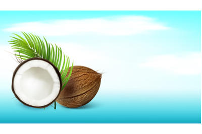 Tropical Coconut And Palm Branch Copy Space Vector