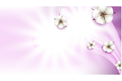 Cotton Flowers Natural Buds Copy Space Vector