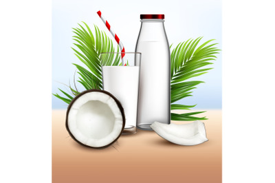 Coconut Milk Organic Drink And Palm Branch Vector