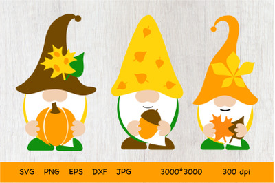 Fall Gnomes SVG. Autumn Gnome. Gnome SVG.Gnome Fall.Cut File