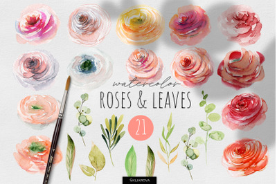 Roses and Leaves Watercolor Clipart