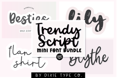 MINI Trendy Script Font Bundle