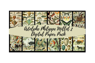 Adolphe Millot 2 Digital Paper Pack
