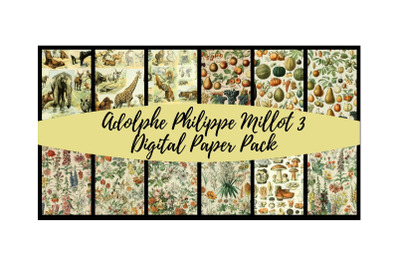 Adolphe Millot 3 Digital Paper Pack