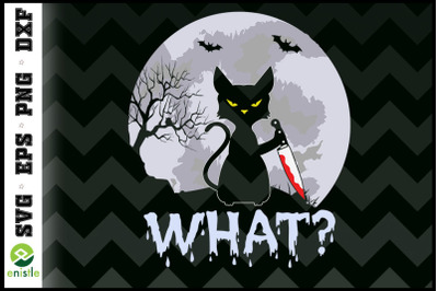 Cat What&3F; Murderous Black Cat With Knife