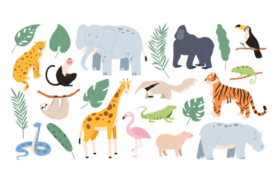 Flat tropical animals from african savannah and jungle forest. Cartoon