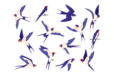 Cartoon small barn swallow birds flight poses. Flat swallows fly in sk